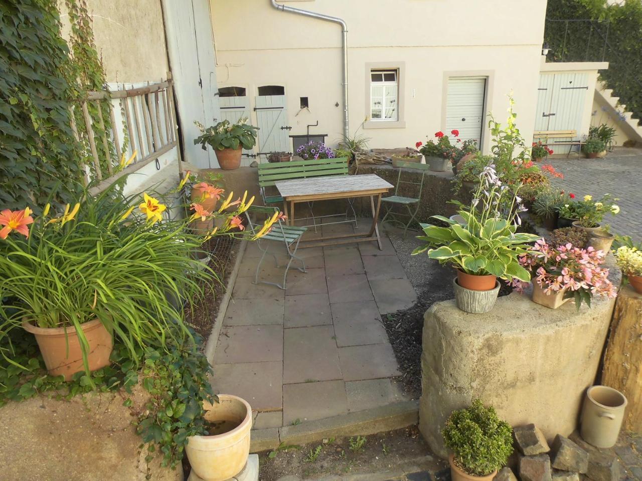 Gaestezimmer Mittelgasse Florsheim-Dalsheim Exterior photo