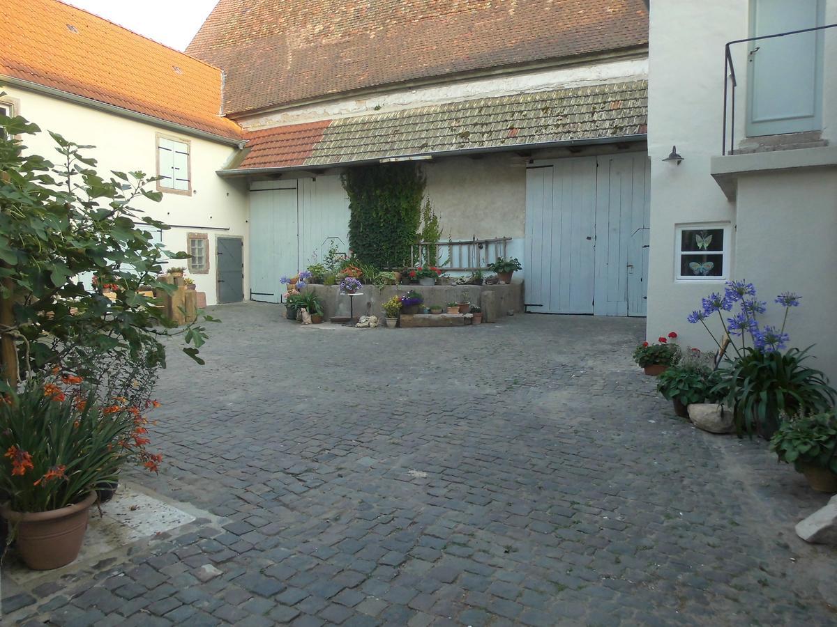 Gaestezimmer Mittelgasse Florsheim-Dalsheim Exterior photo
